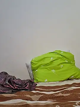 altinya webcam