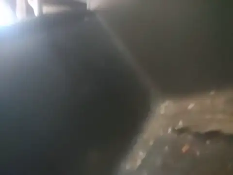 WadedGuzzling