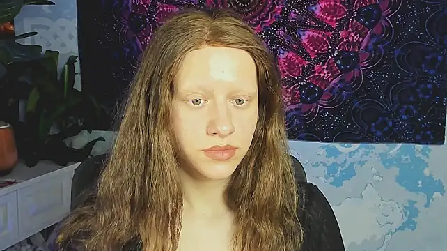 LidaDarknet