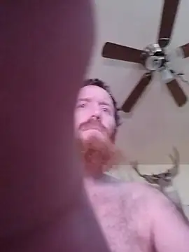 CaliBredMetalHeadDaddy
