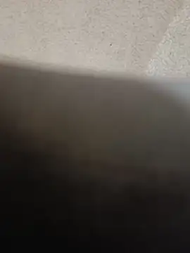 misterBigDick19