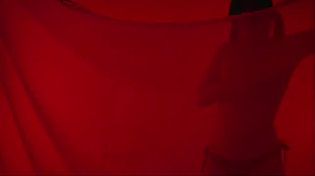 Velvet--girl