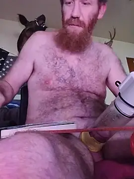 CaliBredMetalHeadDaddy