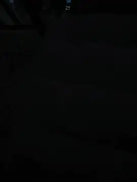 misterBigDick19