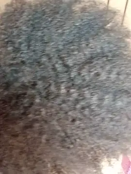 angeles___