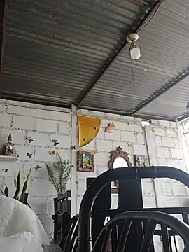 Ann_Houston_