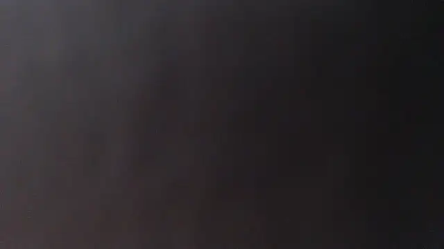 alexam_gal@xh