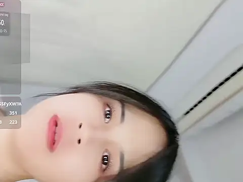 Xiaowen-66