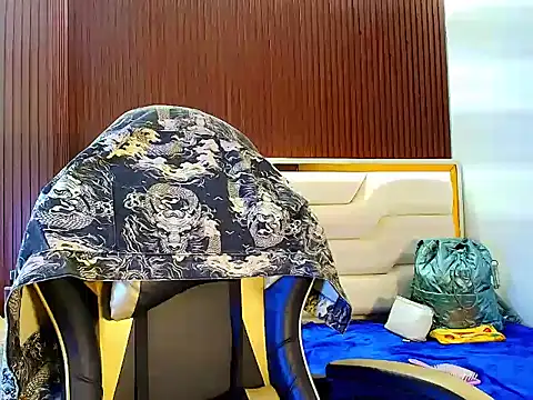 PamelaCollinsVS live cam on StripChat