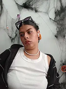 SOFIA-11_ webcam