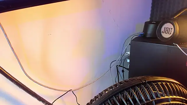 ECSTASYX2-23 live webcam