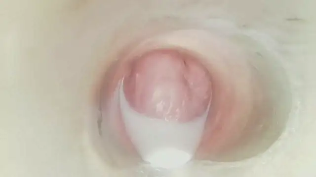 karol_stom
