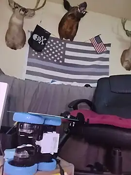 CaliBredMetalHeadDaddy