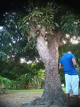 soyramos123