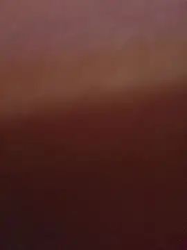 misaamanne__