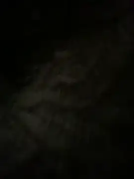 neetuuuuu11 live cam on StripChat