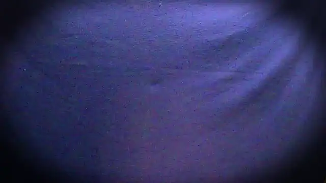 GiG69 live sex cam