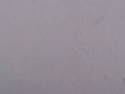 Adriana_0312