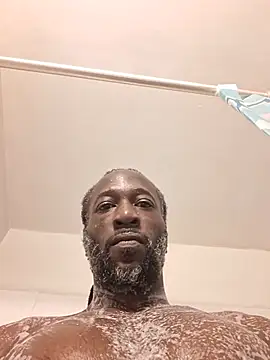 King_BlackStallion