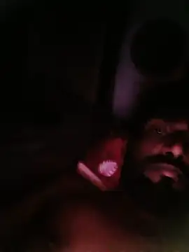 telugu_bull_hyd28