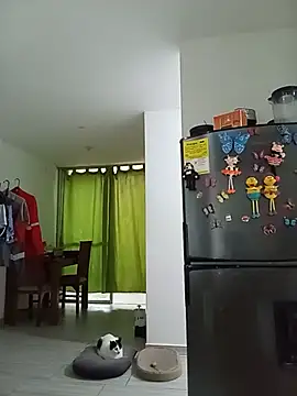 Danzel1105