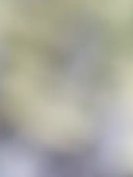 pate1298 (M young) - #69-position #anal #anime #ass-to-mouth #bbc #beardy #bears #big-ass #big-balls #big-cocks #big-nipples #bisexuals #boots #bubblebutt #bukkake #cam2cam #cei #cheap-privates #club #cock-rating #colorful #cosplay #cuckold #cum-play #cumshot #dildo-or-vibrator #doggy-style #double-penetration #erotic-dance #facesitting #glory-hole #handy #hd #hindi #indian #leather #masturbation #medium #mobile #oil-show #orgasm #outdoor #precum #pump #rimming #role-play #rubbing #selfsucking #sex-toys #shower #small-audience #smoking #spanking #sph #striptease #swallow #swingers #twerk #young