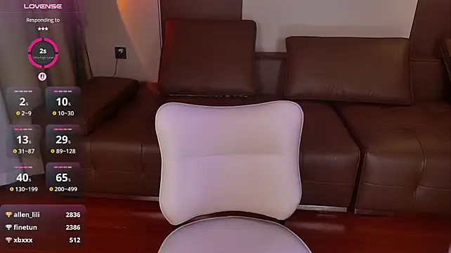 JoJo-ovo webcam