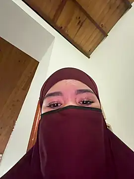 Aseel_thin webcam