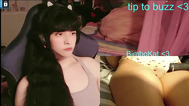 BimboCat