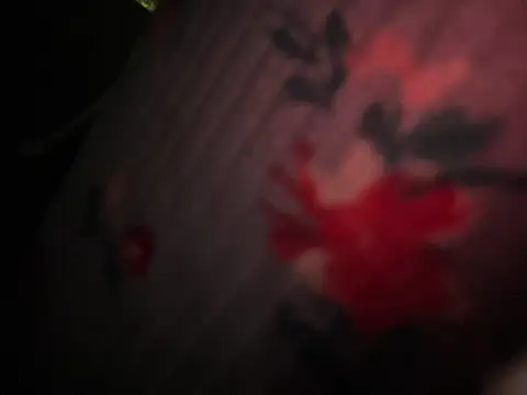 Arielwett21