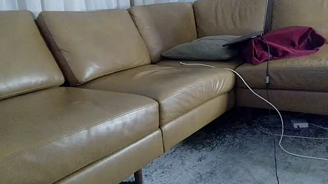 DressSock_Shoe