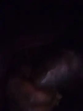 Kingsley_14