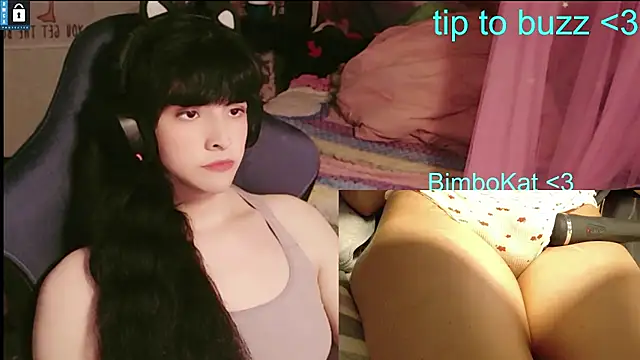 BimboCat