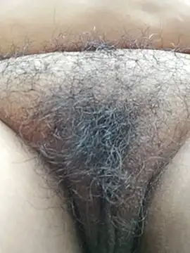 Salaakis