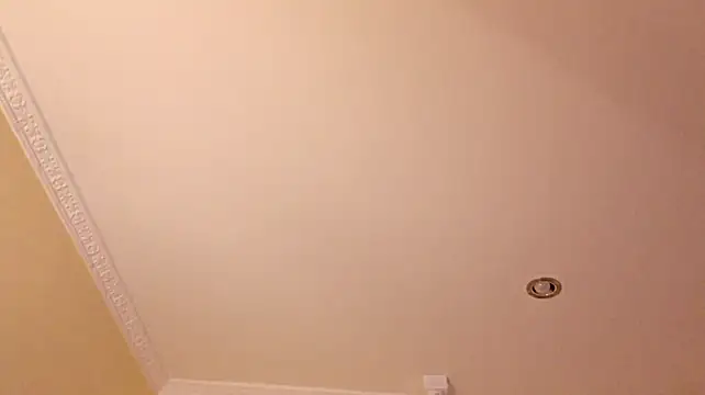 bell_popperr blowjob cam girl