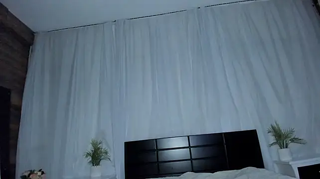 dstevora webcam