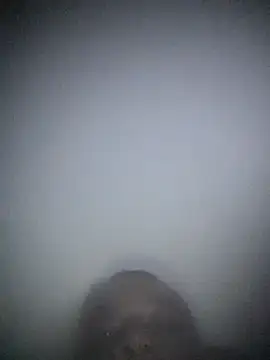 doidopradar