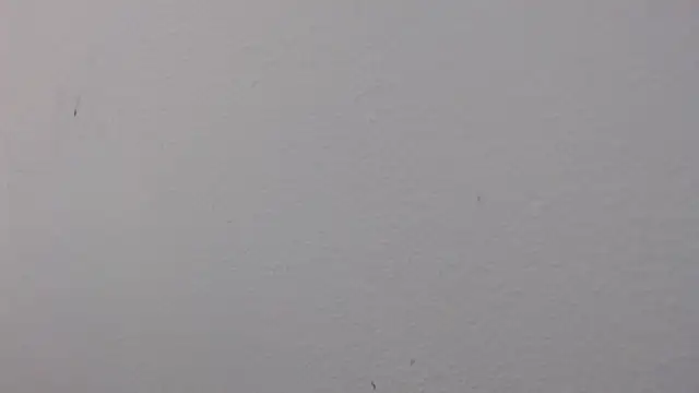 Adriana_0312