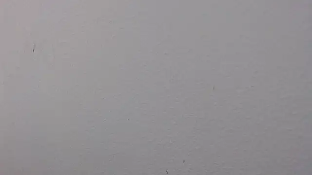 Adriana_0312