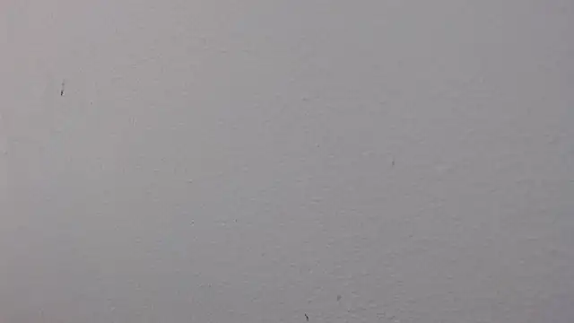 Adriana_0312