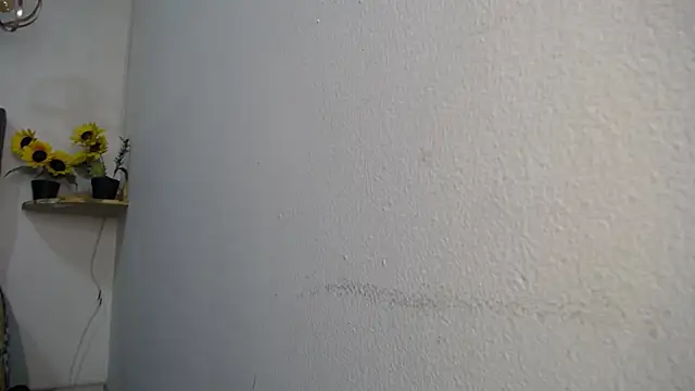 Sasi_luna