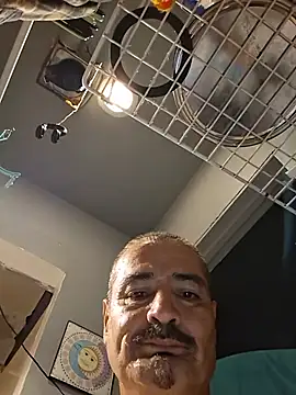 Bimexpoexist
