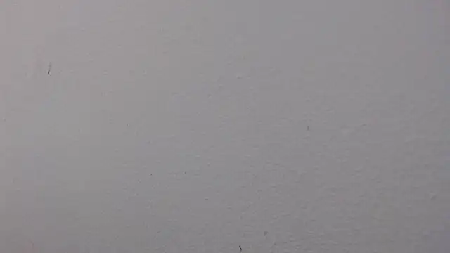 Adriana_0312
