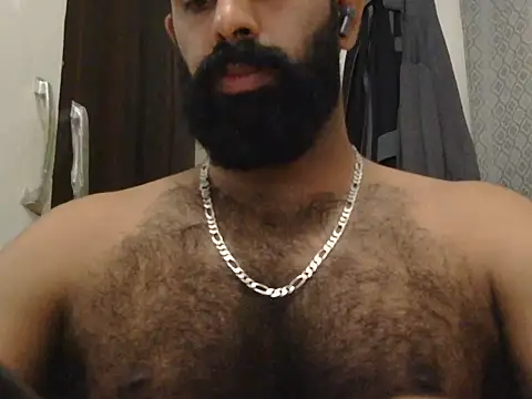 indianhairybull