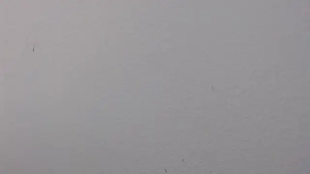 Adriana_0312