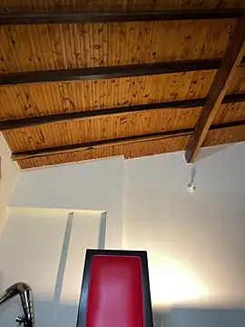 Aaronsexroom