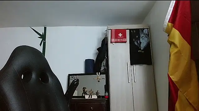 DominanThewolff webcam