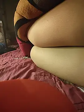 -Tara-a webcam