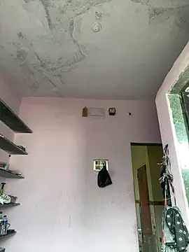 bigdog_ds