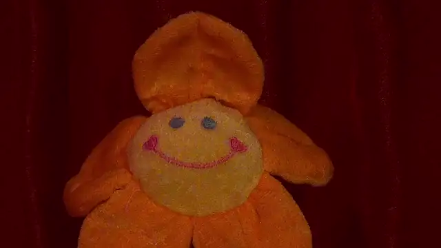MoniCutex webcam